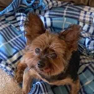 Meet your Posher, Lori